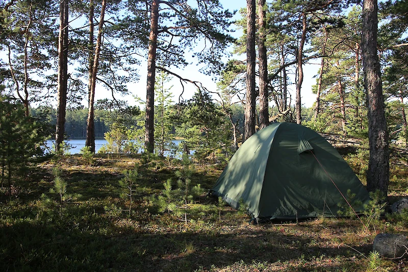 Kirjoituskilpailuun toivotaan nuorten tarinoita luonnosta, retkeilystä, metsästyksestä ja kalastuksesta. Kuvituskuva.