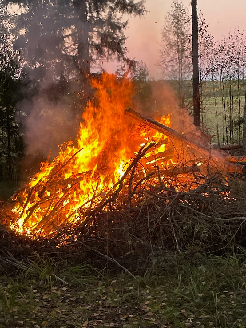 Kuvan lähetti Marjo Nuuttila.
