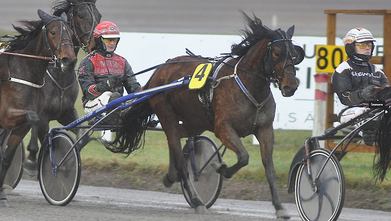 Iittiläisen Team Luck'apin omistama tamma Luck's Easy aloitti kilpauransa kahdella voitolla, joissa kuskina oli Jere Kiveinen. Hevosen valmentaja vaihtui Itävaltaan muuttaneesta Ari Vianderista kokemäkeläiseen Meri Elomaahan. (Kuva: Rauli Ala-Karvia)