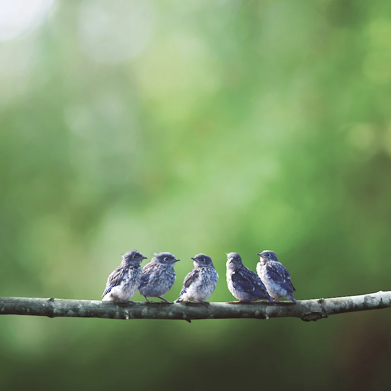(Kuvituskuva: Adobe Stock)