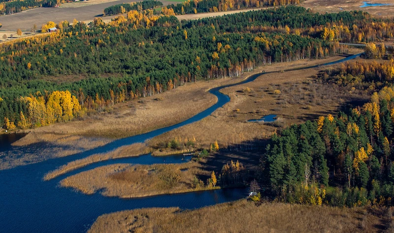 Iittiin laadittavan vesistövision tarkoituksena on parantaa alueen vesistöjen ja luonnon tilaa. (Kuva: Kymijoen kuvapankkihanke)