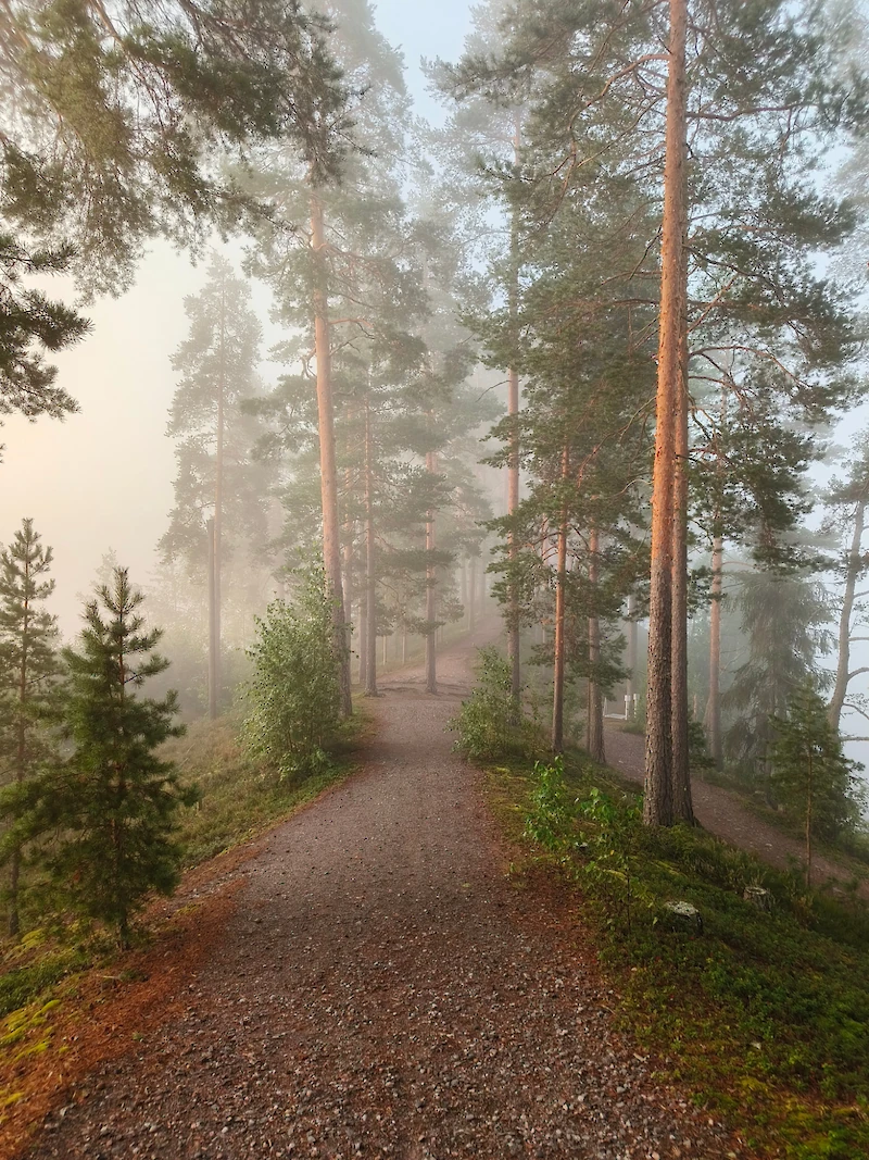 Voittajakuvaksi äänestettiin Minna Rannan ottama kuva ”Satumetsä” Tammelan Ruostejärveltä.