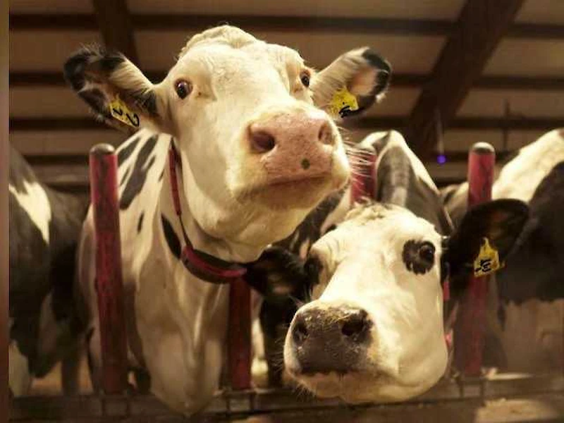 (Kuva: Päijät-Hämeen ympäristöterveys)