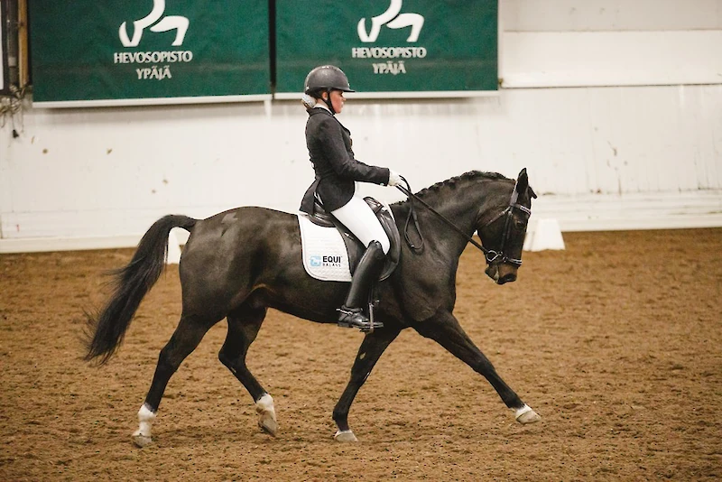 Maria Suhonen ja Viljam hallikauden avauskilpailussa Ypäjällä lokakuussa 2025. (Kuva: Laura Taimioja)