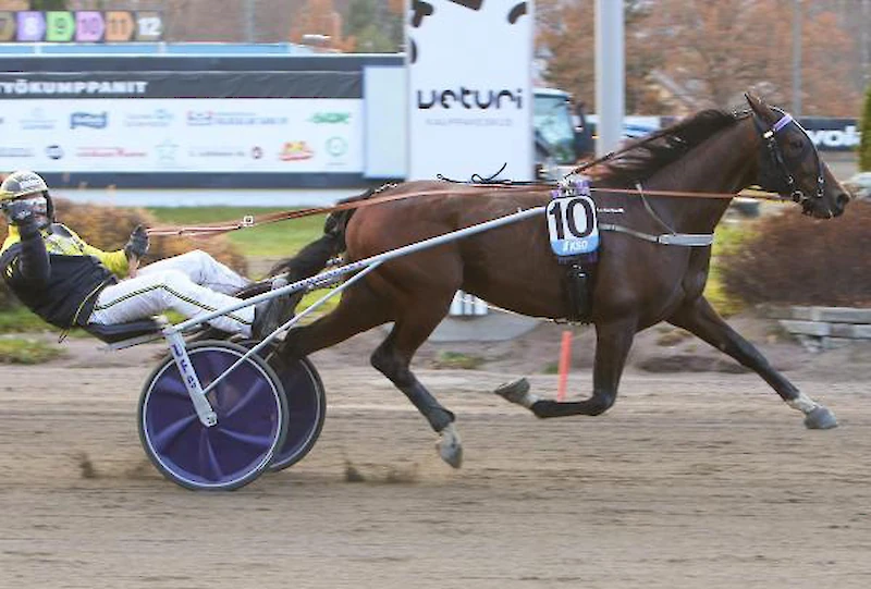 Henri Bollström ja Com Rolf. (Kuva: Satu Pitkänen)