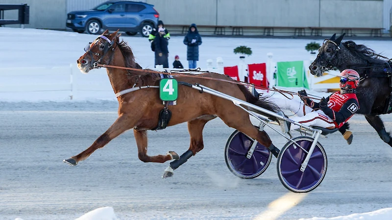 Star Photo S juoksi Kuopion T75-ravien arvokkaimman ykkösen, 6 000 euroa. (Kuva: Anu Leppänen/Hippos)