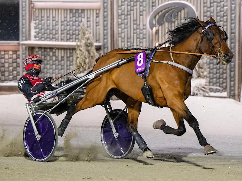 Salon valmentama Popeye Tooma Santtu Raitalan ohjastamana hallitsi lämpöisten päälähtöä Joensuussa. (Kuva: Hannu Backmanin arkisto)