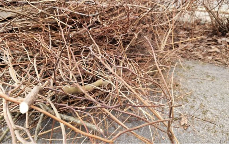 Puutarhajätteen poltto on suuressa osassa Päijät-Hämettä kielletty. (Kuva: Päijät-Hämeen pelastuslaitos)