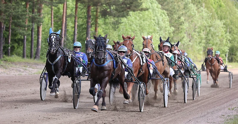 (Kuva: Christa Matikainen)