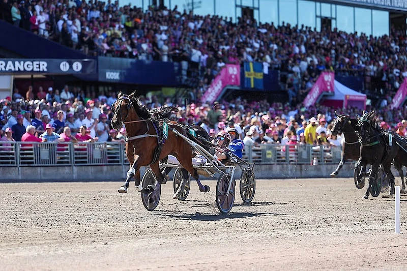 Matias Salon valmentama Popeye Tooma / Santtu Raitala oli uskomattoman hyvä Solvallassa. Voitto SE-ajalla 11,7a/2640 metriä. Hevosen hoitaja on Aada Salo. (Kuva: Maisa Hyttinen)