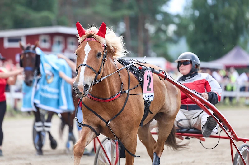 Mia Liipolan Runoneito on vahva ehdokas Kuningatarkilpailun kolmikkoon. (Kuva: Maisa Hyttinen)