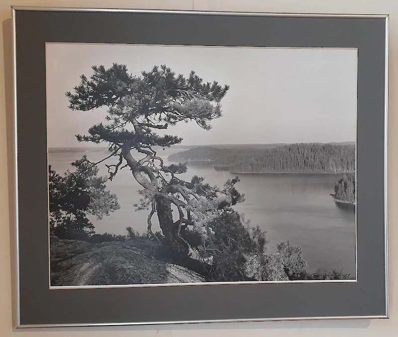 Hiidenvuori. (Kuva: Kalevi Pihkala)