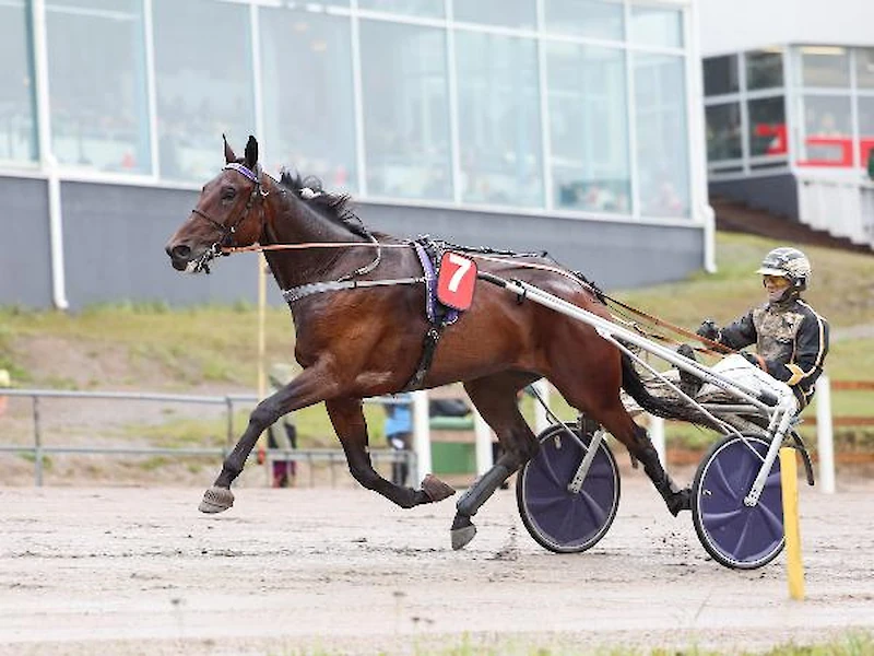 Salon tallin Perfecto otti tyylikkään voiton Vermossa. Kuvassa rattailla on Väinö-Kalle Korhonen. (Kuva: heppa.hippos.fi)