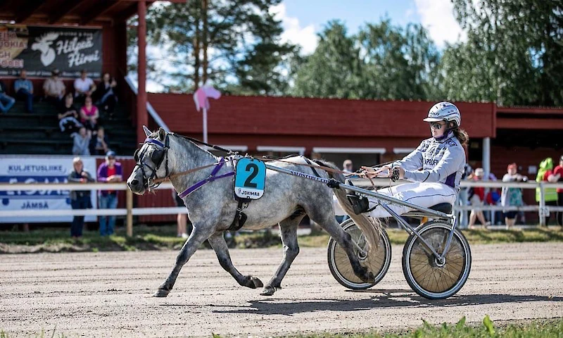 Kolmivuotias Eka Vekara otti Aino Salon valmennuksessa kuusi voittoa ja yhden kakkosen.