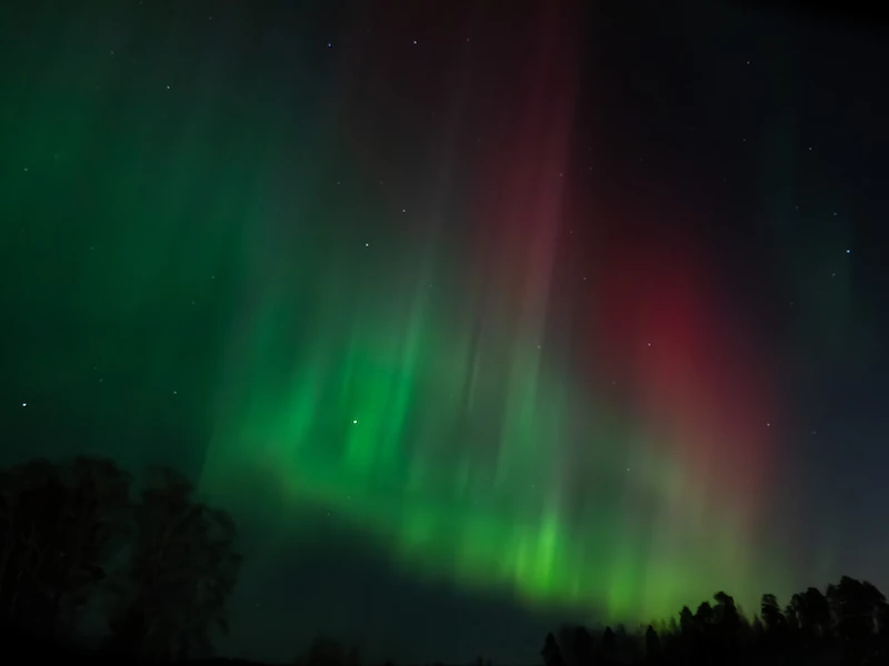 Revontulia Iitin taivaalla sunnuntain ja maanantain välisenä yönä. (Kuva: Merja Ollikainen.)