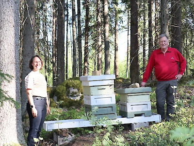 Heli Syrjäsen ja Seppo Tarvaisen pörräävät lemmikit ovat leppoisia eivätkä häiriinny helposti hoitajiensa läsnäolosta.