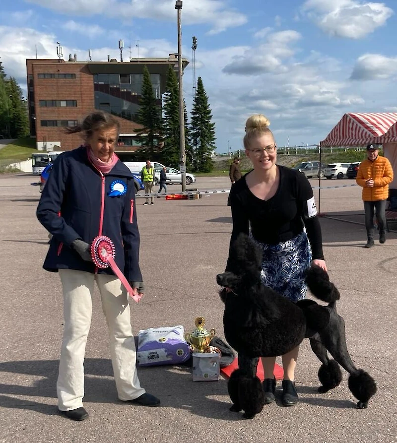 BIS-sarjan voittanut iso villakoira Dark Delimore Fizzy Pop omistajansa Suvi Koiviston kanssa. Kuvassa myös tuomari Maija Mäkinen.