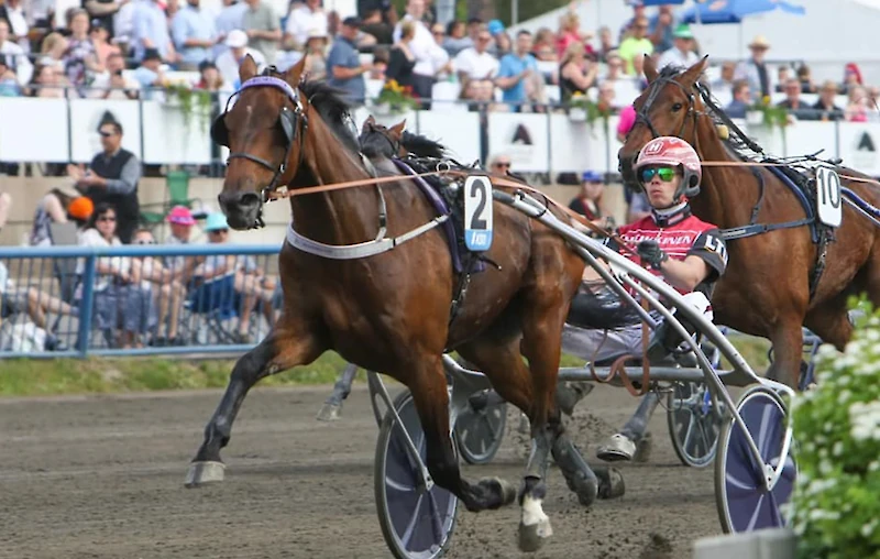 Santtu Raitala ajoi lauantaina Kouvolassa hienon voiton Matias Salon valmentamalla Felix Orlandolla. (Kuva: Satu Pitkänen / Kouvolan ravit.)