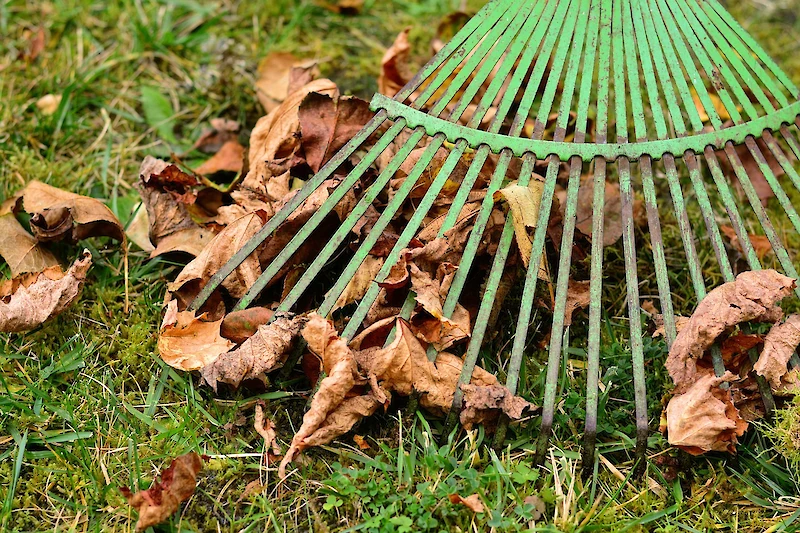 Kymenlaakson Jäte noutaa puutarhajätteet kotipihasta maksua vastaan. (Kuva: Pixabay.)