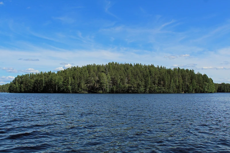 Tattarisaari on säilynyt luonnontilassa. (Kuva: Marjo Kuisma.)